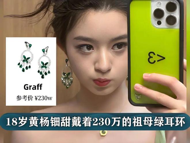 5月出现停止月捐潮捐了钱还要被说是仇富PG电子麻将胡了2黄杨钿甜耳环事件让(图4)